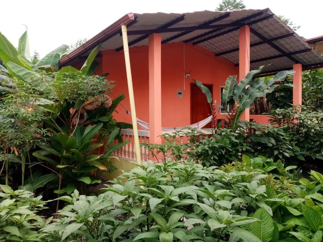 Hostal Tena Naui Exterior photo